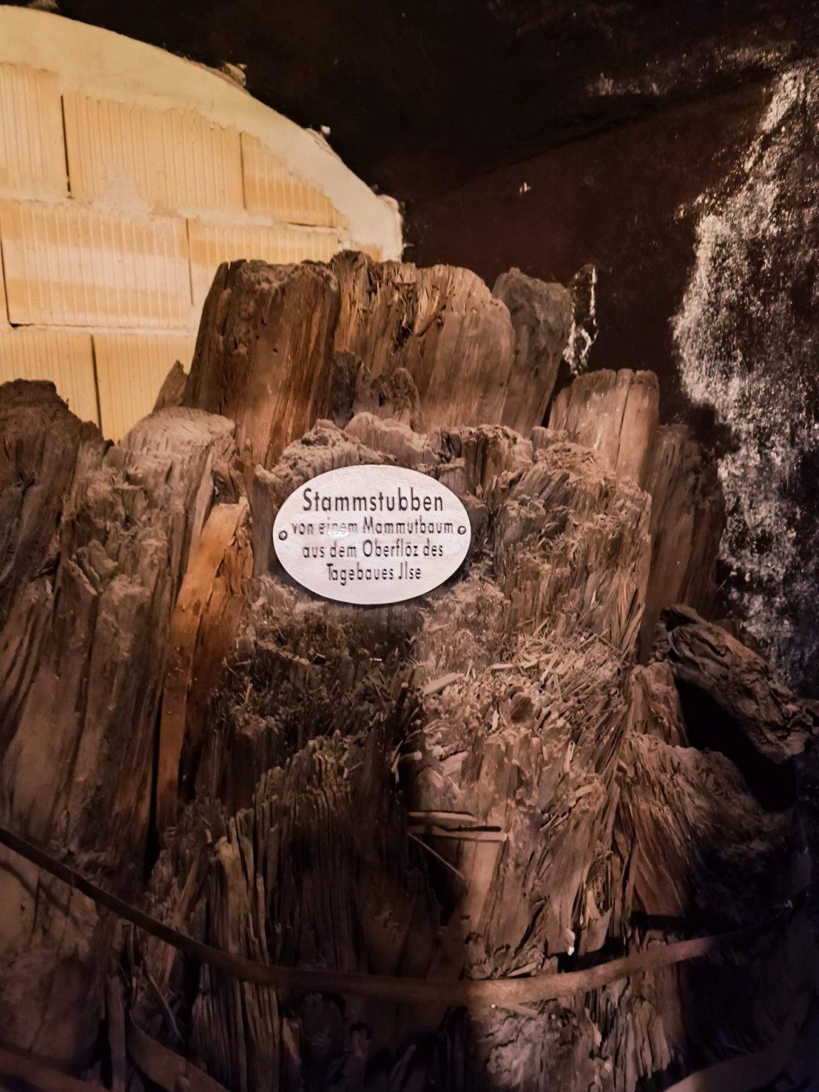 Festung Senftenberg Ein Ausflugsziel für die ganze Familie