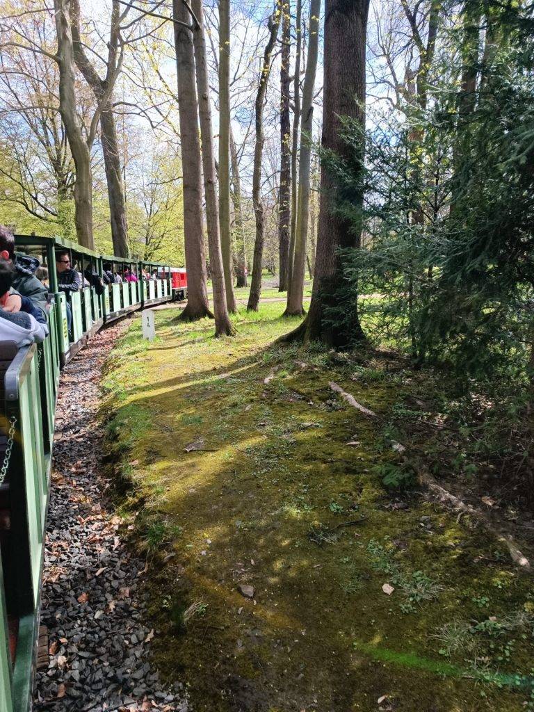 Dresdner Parkeisenbahn: Familienspaß im Großen Garten 8 Dresdner Parkeisenbahn, Großer Garten, Ausflugsziel Dresden, Bild 4