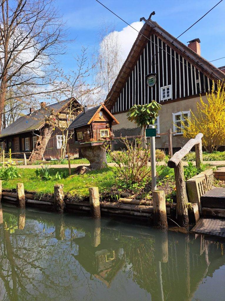 Tagesausflug in den Spreewald: Unsere Kahnfahrt 14 Tagesausflug in den Spreewald, Bild 4