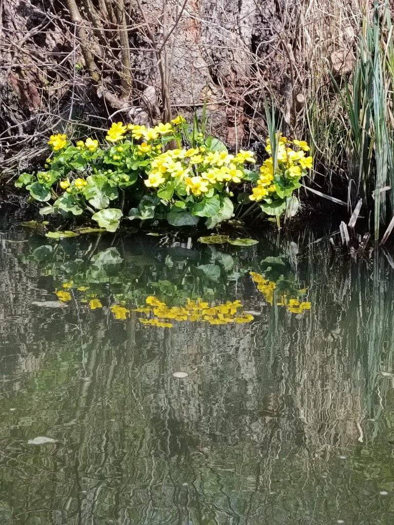 Tagesausflug in den Spreewald: Unsere Kahnfahrt 13 Tagesausflug in den Spreewald, Bild 5