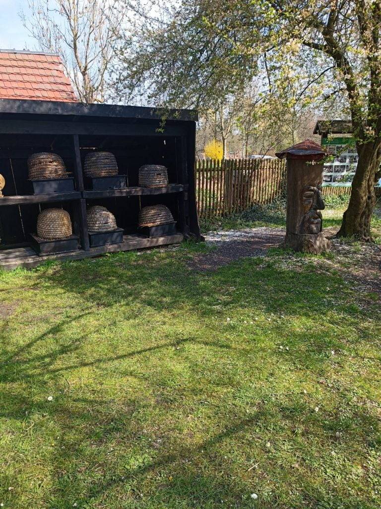 Tagesausflug in den Spreewald: Unsere Kahnfahrt 9 Tagesausflug in den Spreewald, Bild 8, Museumsdorf Lehde