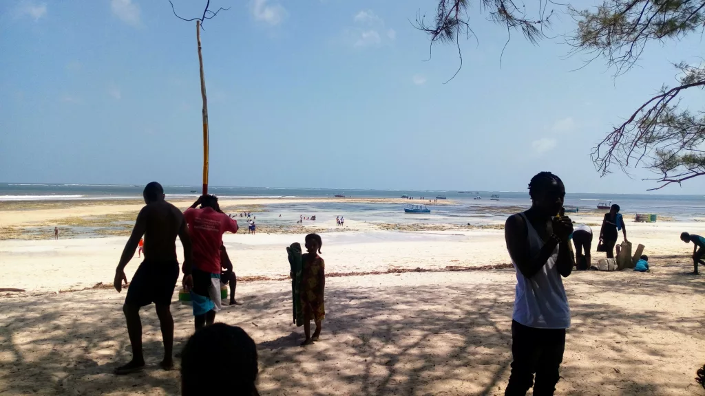 Familienurlaub in Malindi Indischer Ozean 4