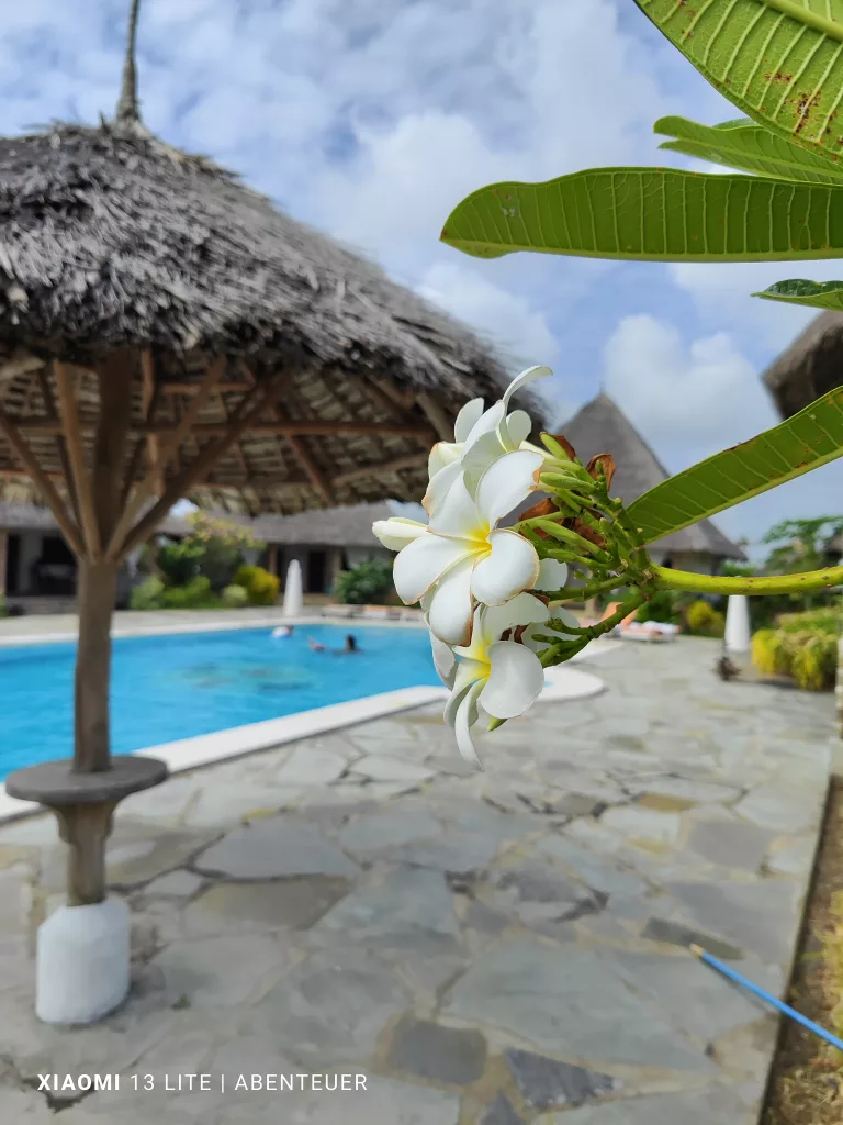Malindi, Familienurlaub in Kenia 10 Malindi, Familienurlaub in Kenia, Unsere Unterkunft Coral Village Bild 2