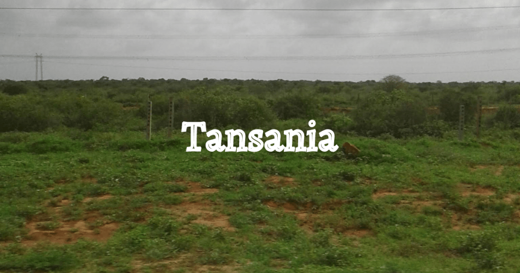 Kategorie Bild Tansania
