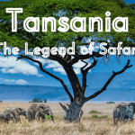 Beitragsbild Tansania - The Legend of Safari