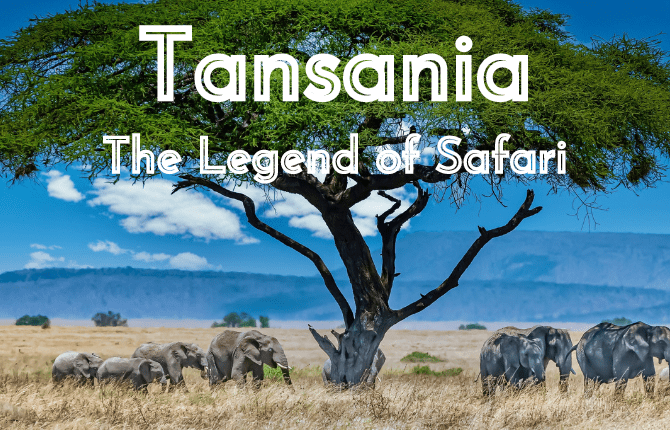 Beitragsbild Tansania - The Legend of Safari